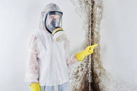 Best Comprehensive Air Testing for Mold Contaminants  in Laureles, TX